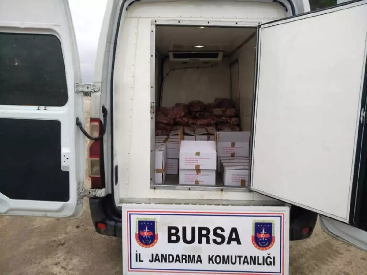 Bursa\'da Ele Geçirildi: 1 Ton !