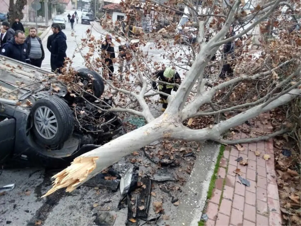 Kontrolden Çıkan Otomobil Önce Ağacı Devirdi Sonra Takla Attı