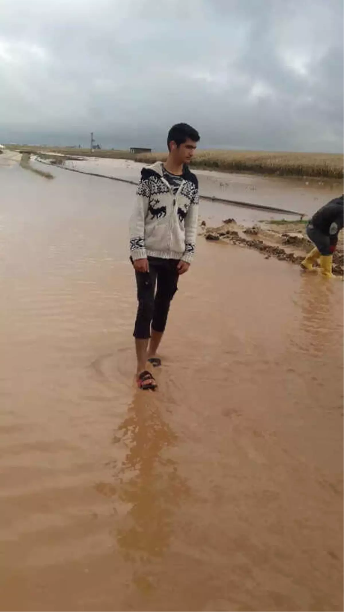 Mardin\'de Sağanak; Evleri ve Tarım Arazilerini Su Bastı