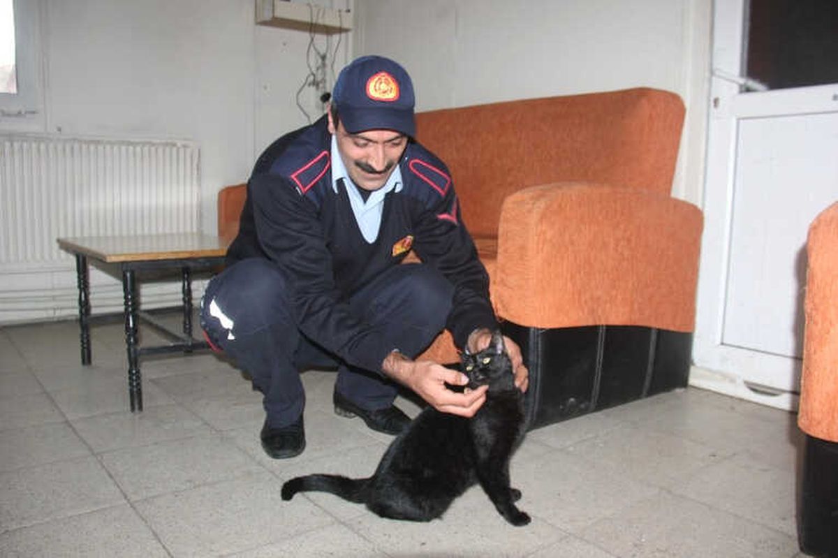 Motor Arasından Kurtarılmıştı, O Kedi İtfaiyenin Maskotu Oldu