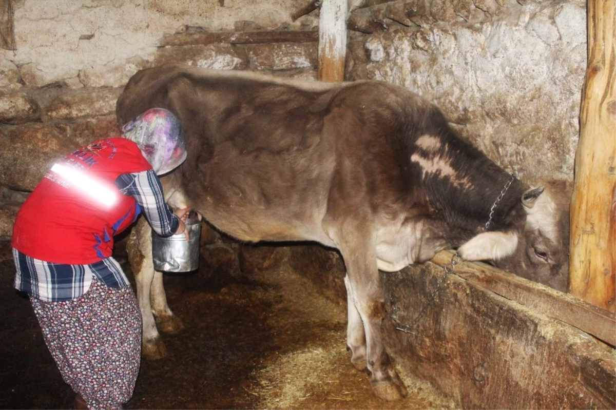 Şehirli Gençler Köy Hayatı Deneyimi Yaşadı