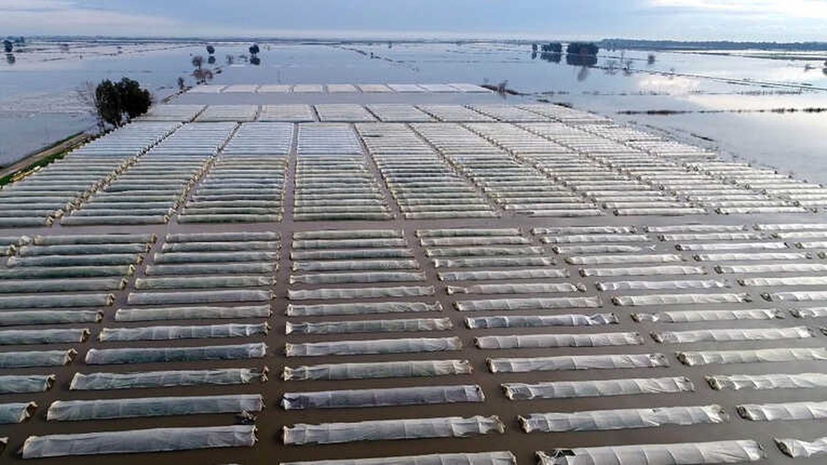 Türkiye\'nin Kışlık Sebze Üretim Merkezinde Seralar Sular Altında Kaldı