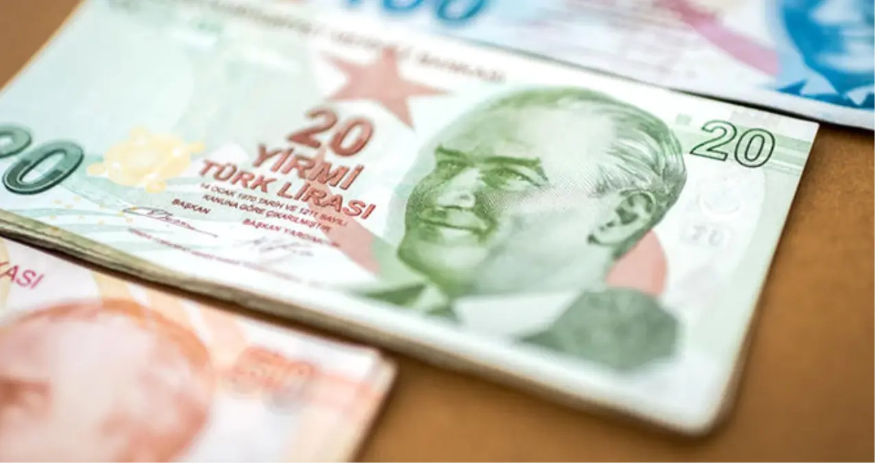 Yeni 20 TL\'lik Banknotlar 24 Aralık\'ta Tedavüle Girecek