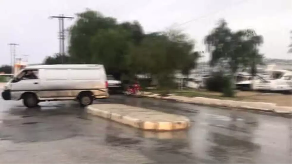 Fırıncı Ozan"Dan Sokak Hayvanlarına Mobil Ekmek Servisi