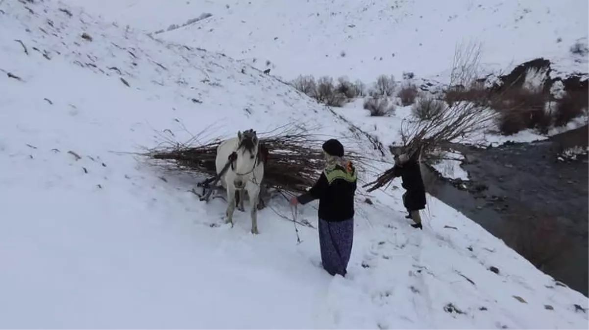 Köylülerin Karlı Dağlarda Yakacak Telaşı