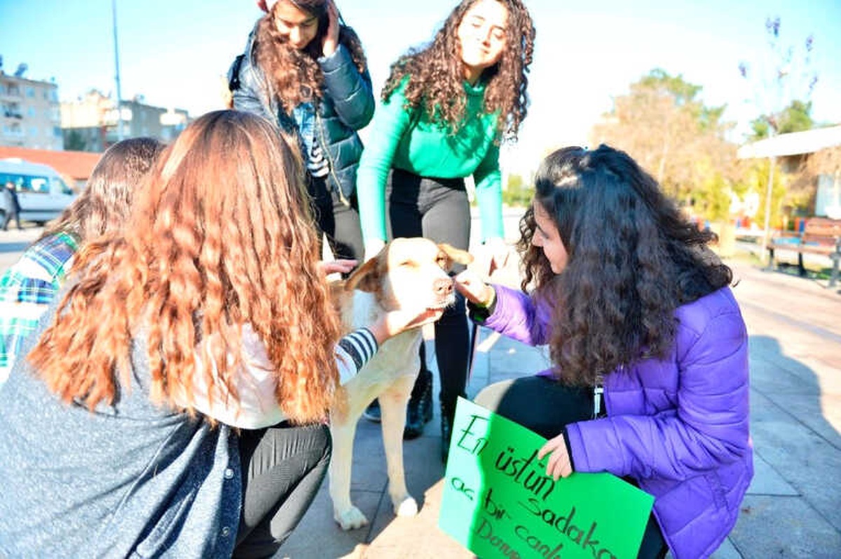 Mardinli Öğrenciler Hayvanlar İçin Mama Kabı ve Yuva Yaptı