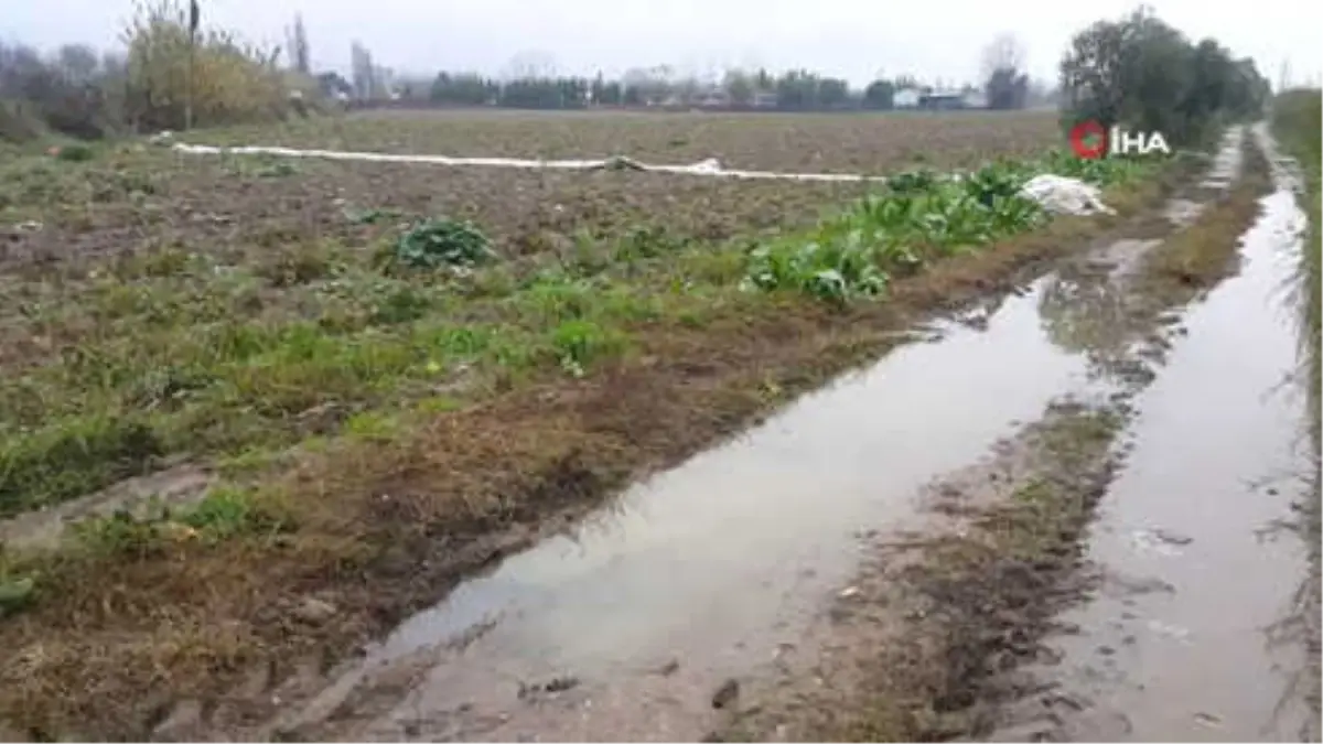 Ödemiş Patatesi Doğal Deposunda Beklemede