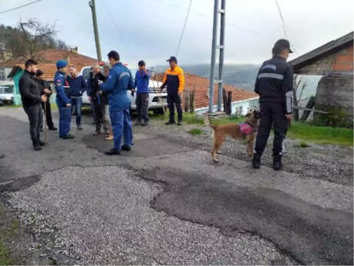 Ormanda Kaybolan Çiftçi, 7 Ay Sonra Yeniden Aranıyor