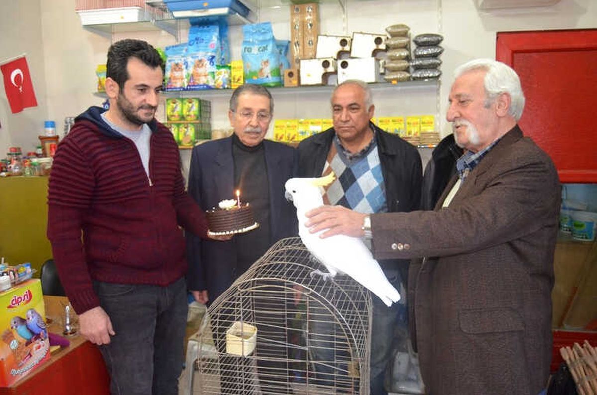 Papağana 42. Yaş Günü Kutlaması