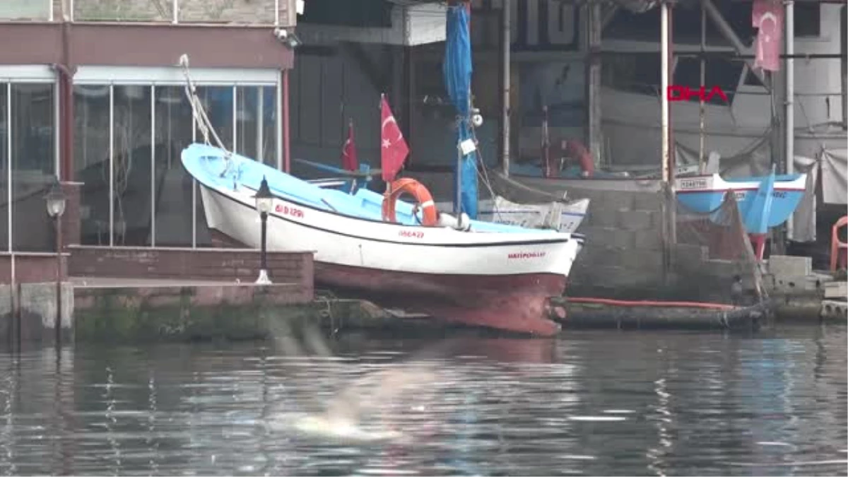 Trabzon Küçük Ölçekli Avcılık Yapan Balıkçılar Dertli