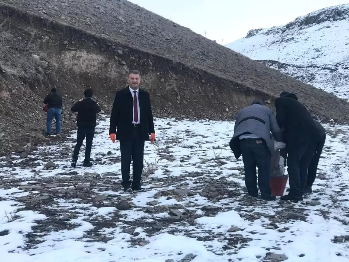 Yaban Ördekleri Kars Çayı\'nı Mesken Tuttu