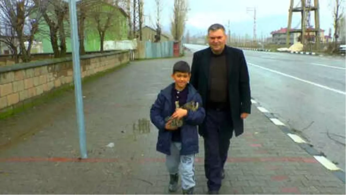 Ayağı Kırılan Kediye 9 Yaşındaki Abdulsamet Sahip Çıktı