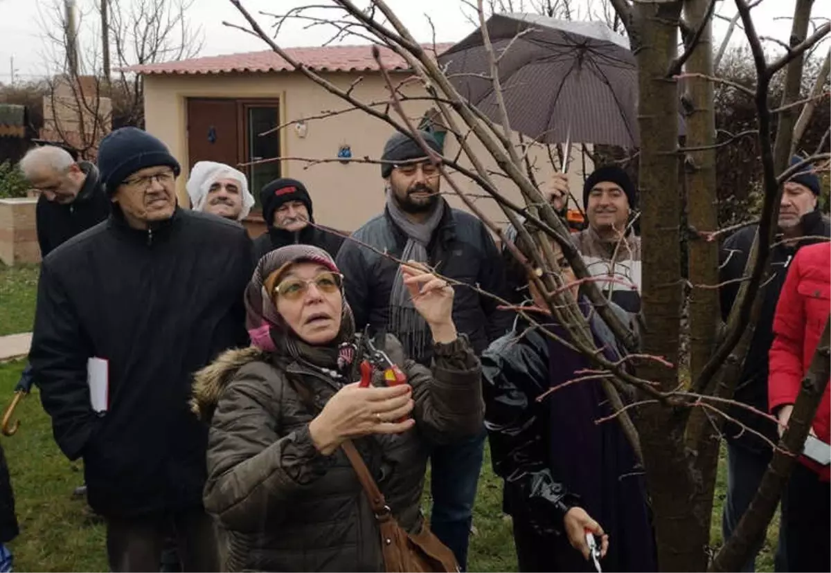 Budama Eğitimleri Devam Ediyor