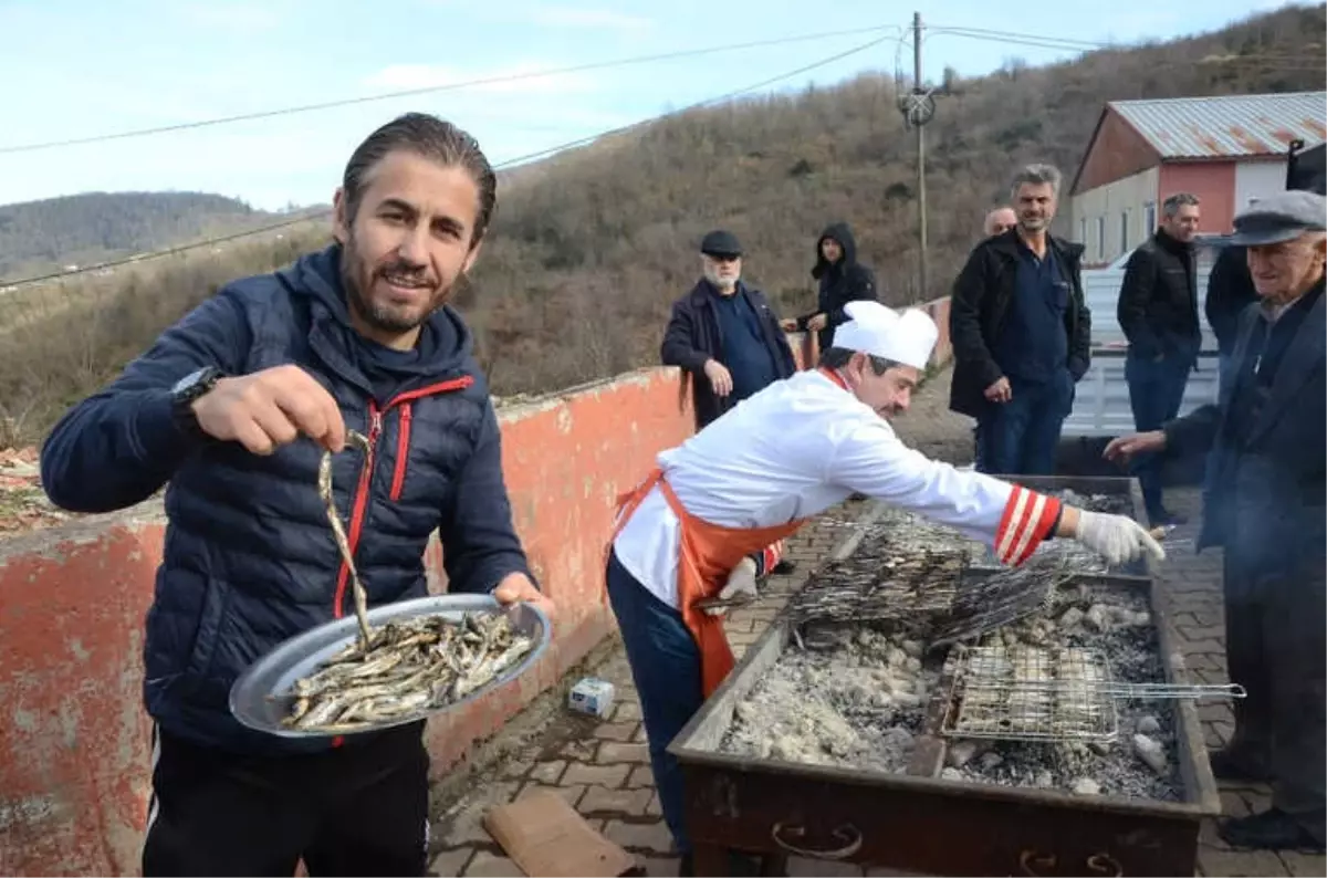 Hamsi Şenliğinde Yaklaşık 1 Ton Hamsi Tüketildi