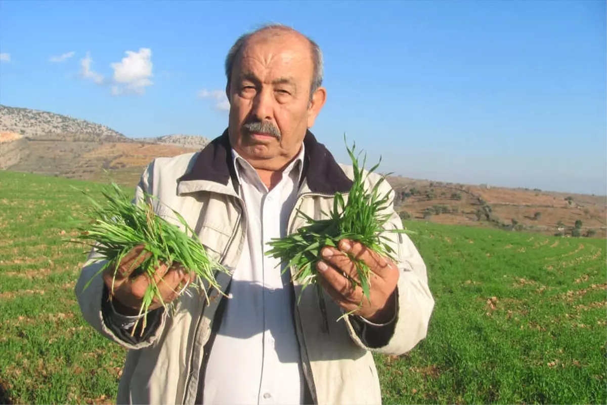 Hasat Döneminin Bereketli Geçmesini Bekliyoruz"