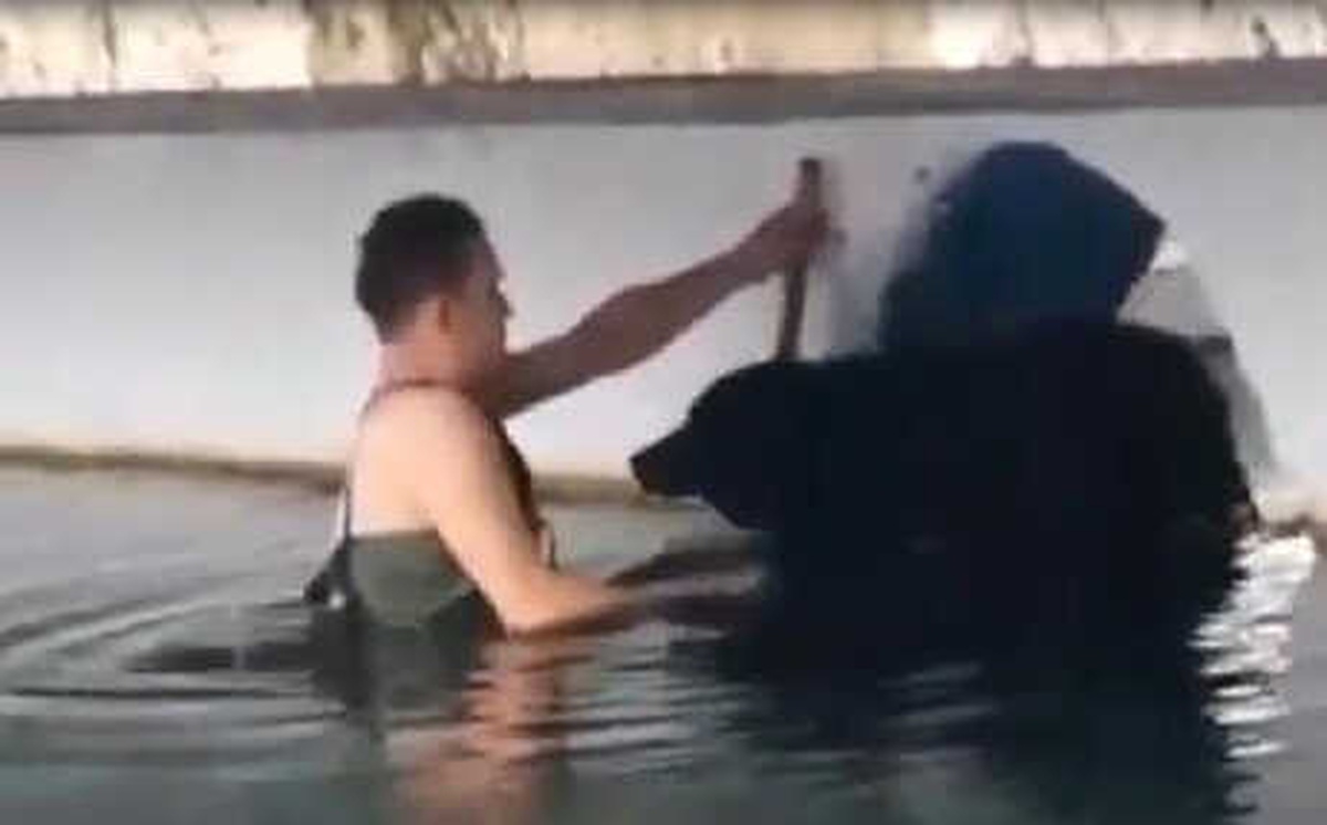 Havuzda Mahsur Kalan Köpeği Belediye İşçisi Kurtardı