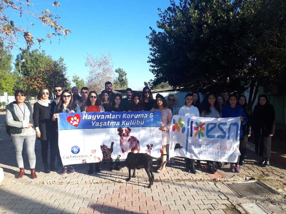 Özekenci: "Barınak Koşulları Hukuka ve Uluslararası Standartlara Uygun Olmalı"