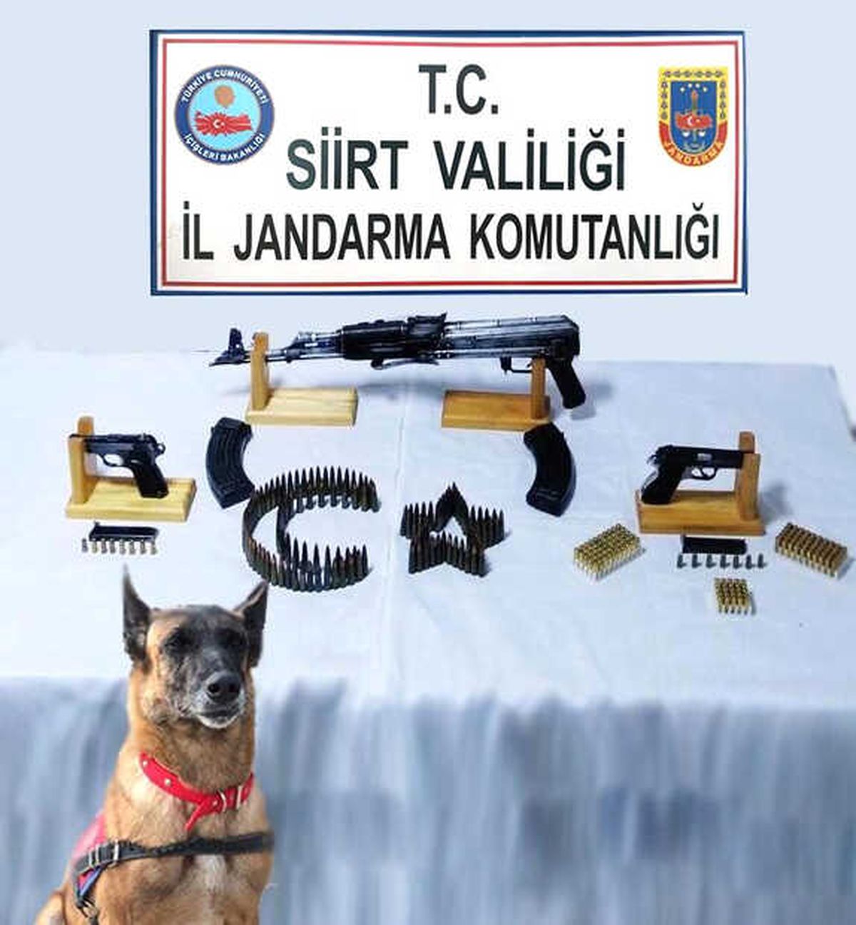 Siirt\'te Silah ve Mühimmat Ele Geçirildi