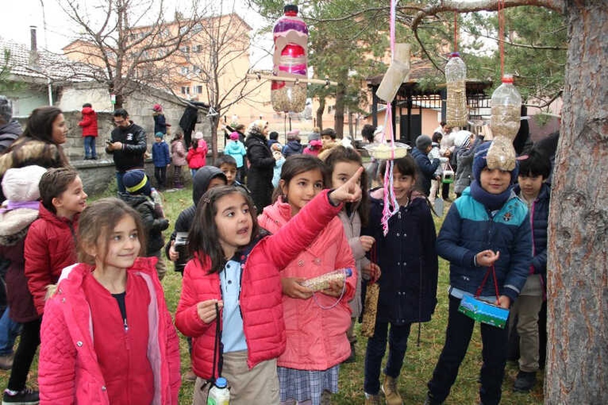 Kuşlar İçin Elleriyle Hazırladılar, Ağaçlara Astılar
