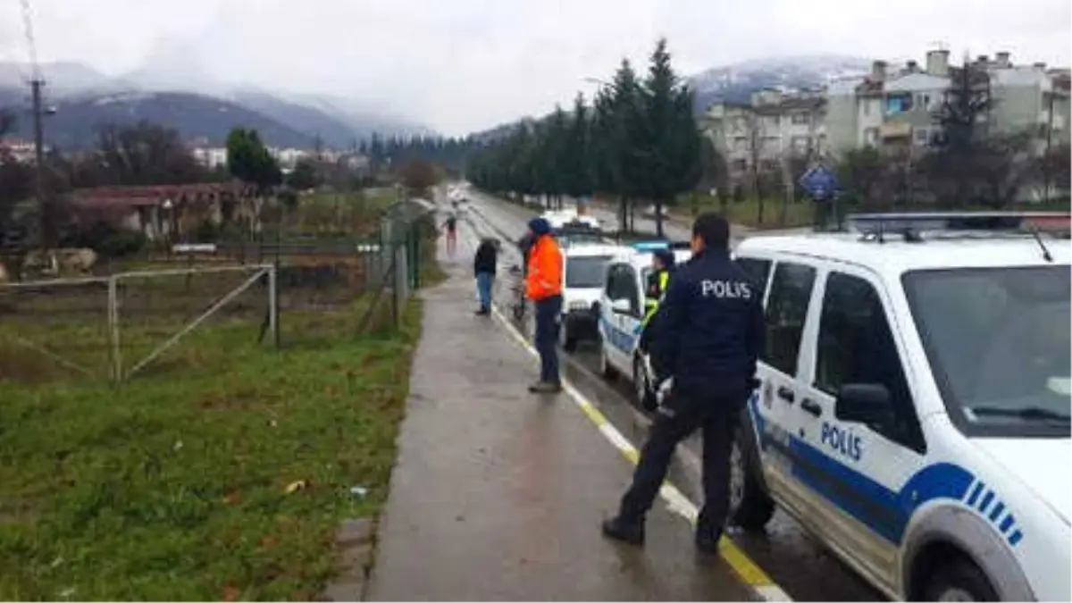 Boğa Kamyonetten Atladı, Uyuşturucu İğne ile Yakalandı