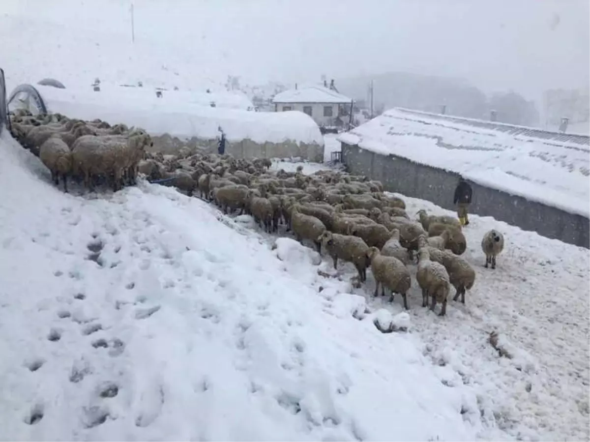 Kahramanmaraş\'ta Kar Yağışı Hayatı Olumsuz Etkiledi