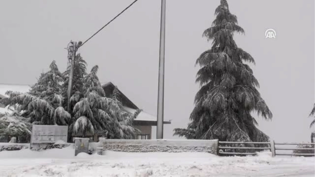 Karadeniz\'de Kış - Ordu