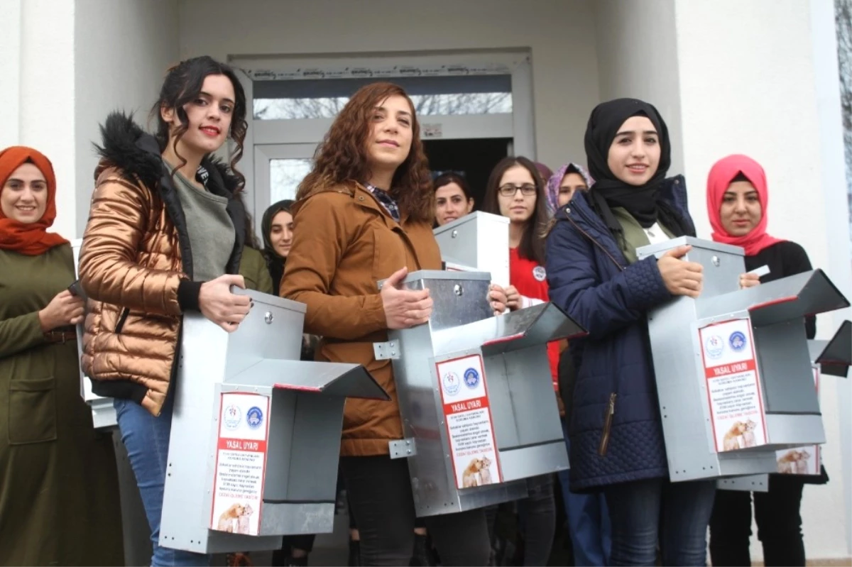 Kars\'ta Kyk Öğrencileri Sokak Hayvanlarını Sahipsiz Bırakmadı