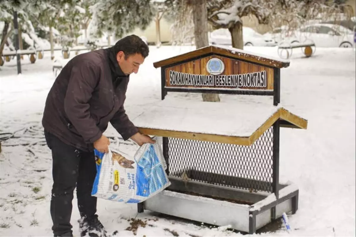 Nevşehir Belediyesi Hayvanları Unutmadı