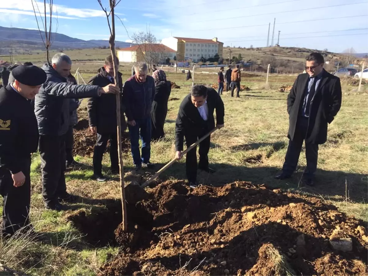 Pazaryeri Myo Bahçesine 150 Fidan Dikildi