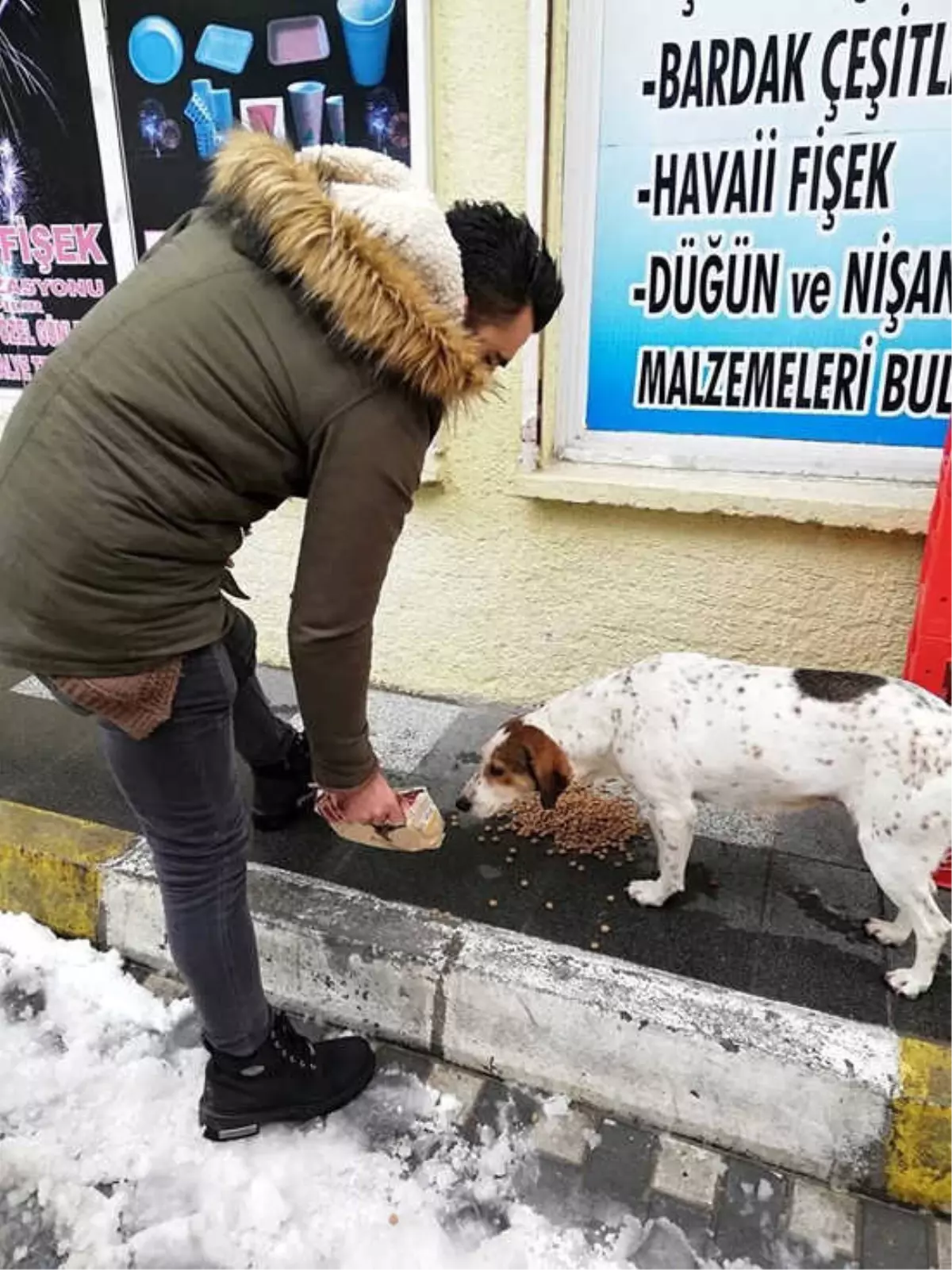 Sokak Hayvanlarını Unutmadılar