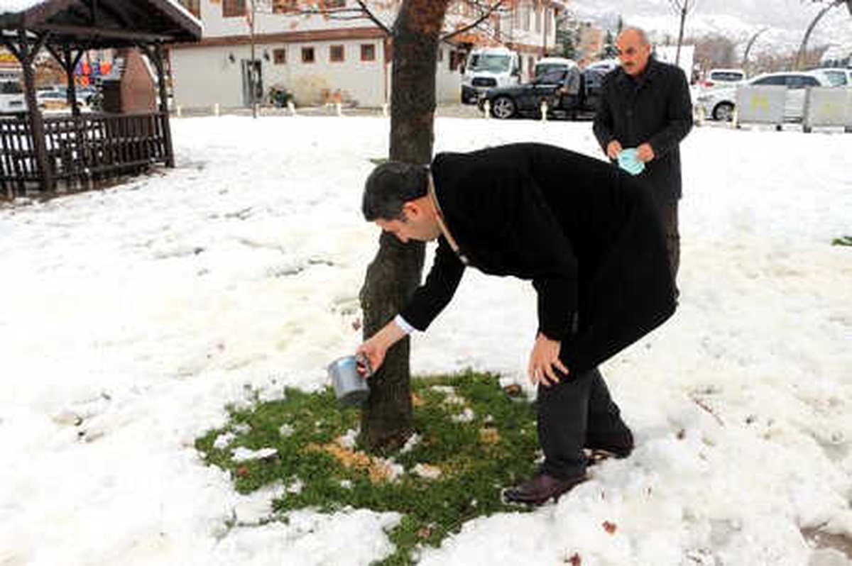 Tokat\'ta Sokak Hayvanları İçin Parklara Yem Bırakıldı