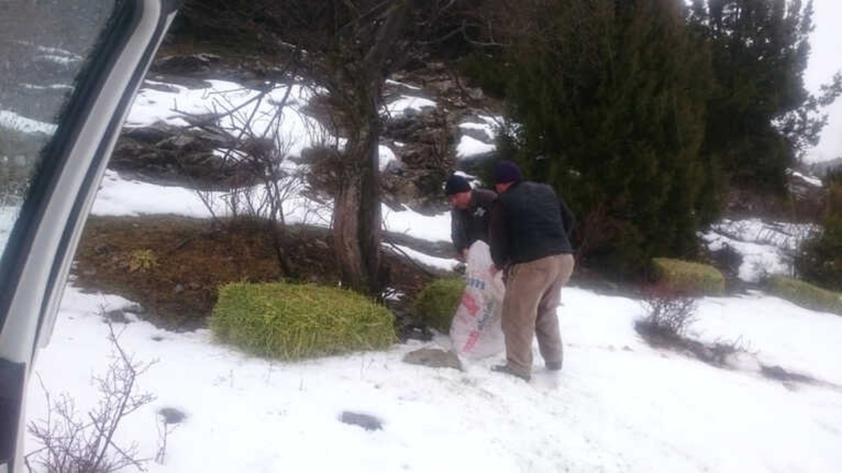 Yılkı Atları ve Yaban Geyikleri İçin Doğaya Yem Bırakıldı