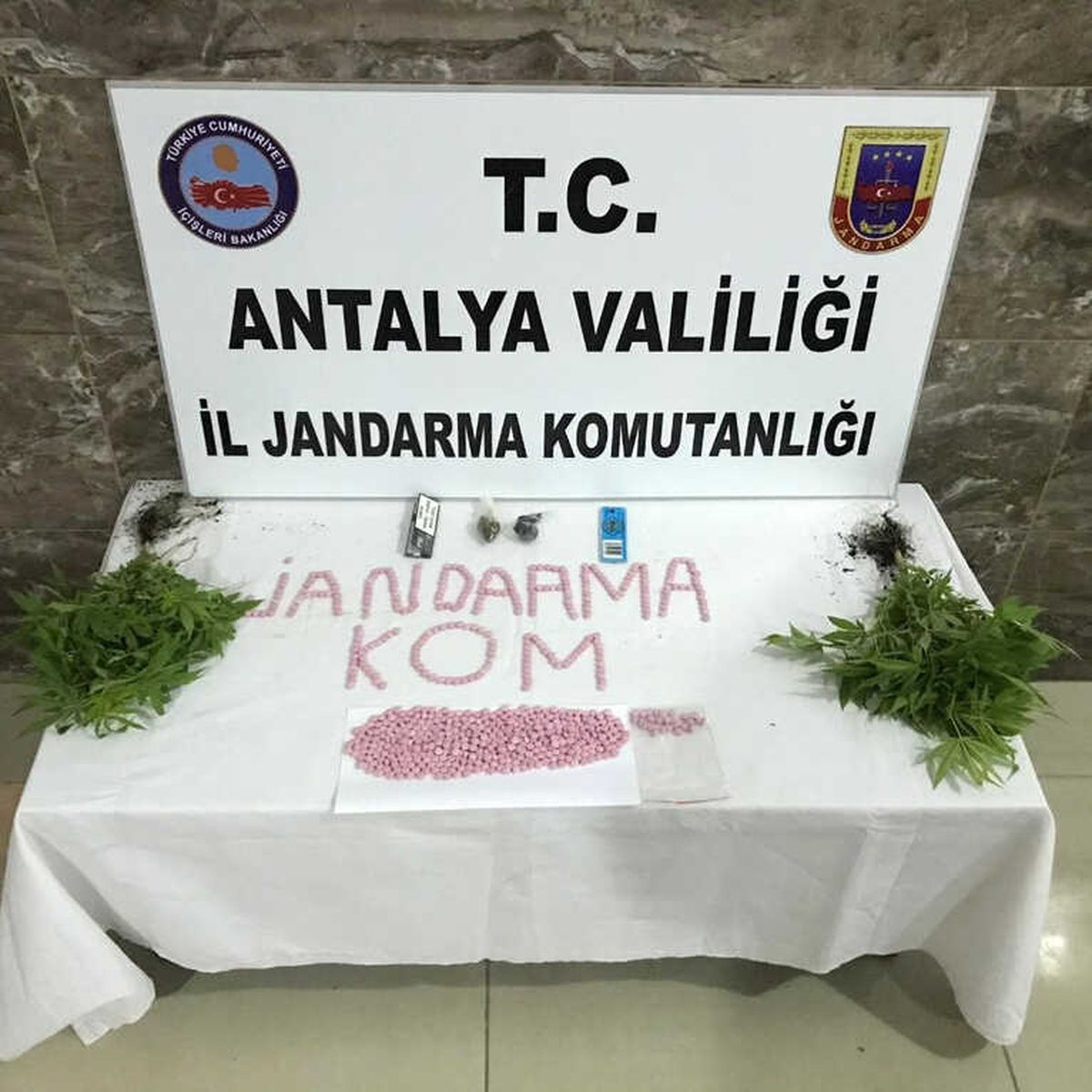 Alanya\'da 738 Adet Uyuşturucu Hap Ele Geçirildi