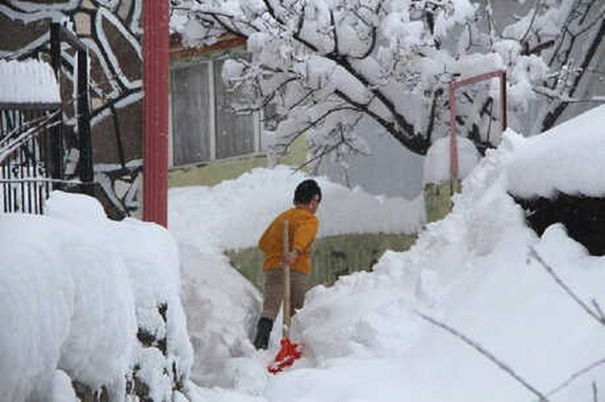 Bingöl\'de Kar Nedeniyle 281 Köy Yolu Kapandı (2)