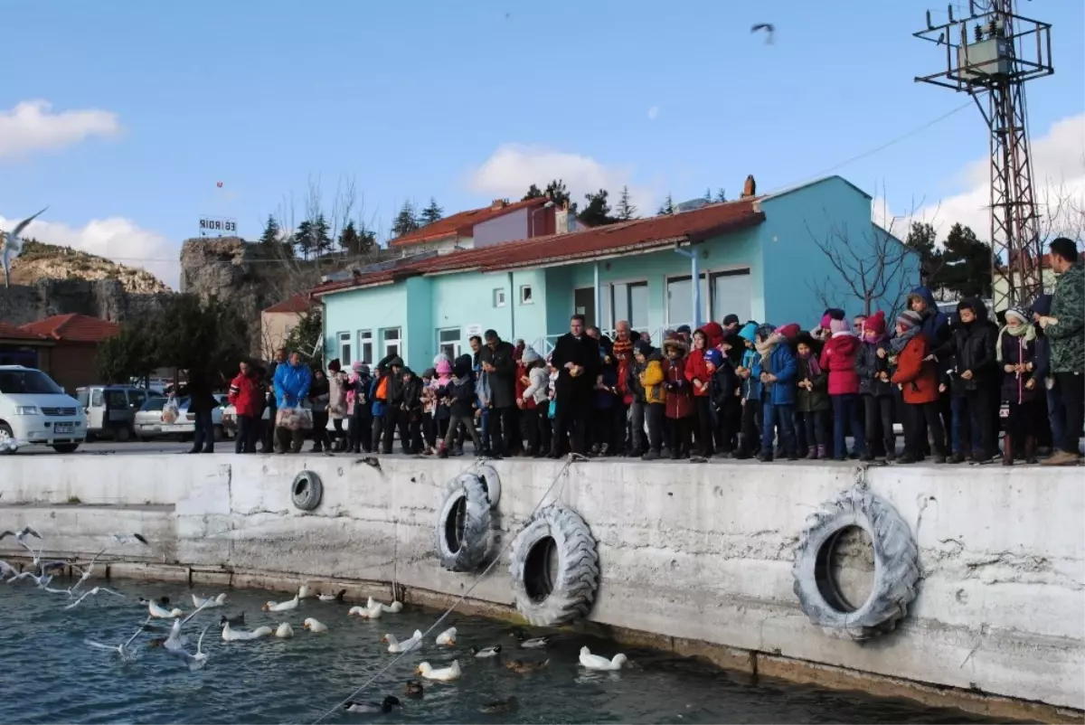 Eğirdir Gölü\'ndeki Kuşlar Beslendi