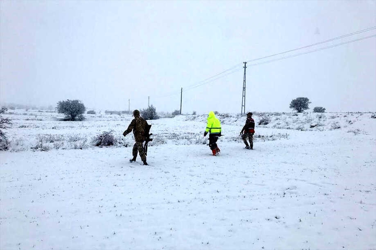 Elazığ\'da Kaçan Anguslar Jandarma Tarafından Bulundu
