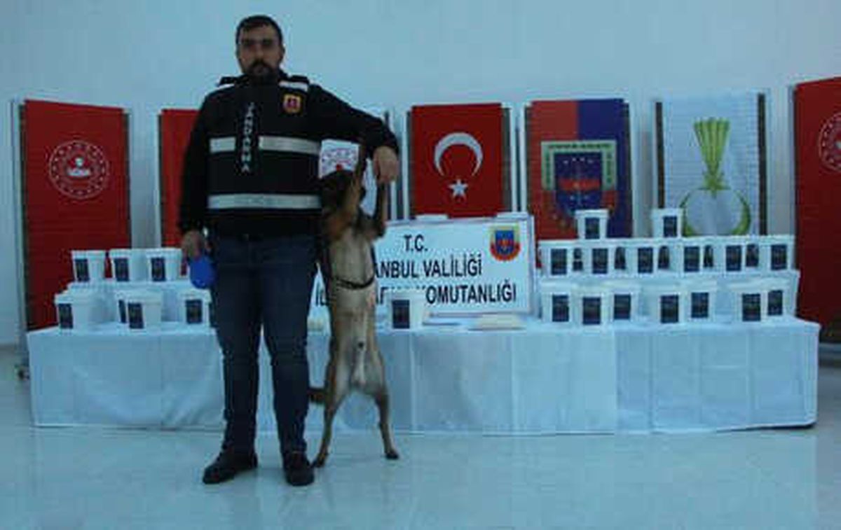 Geniş Haber) - İstanbul Jandarma Ekiplerinden Dev Operasyon