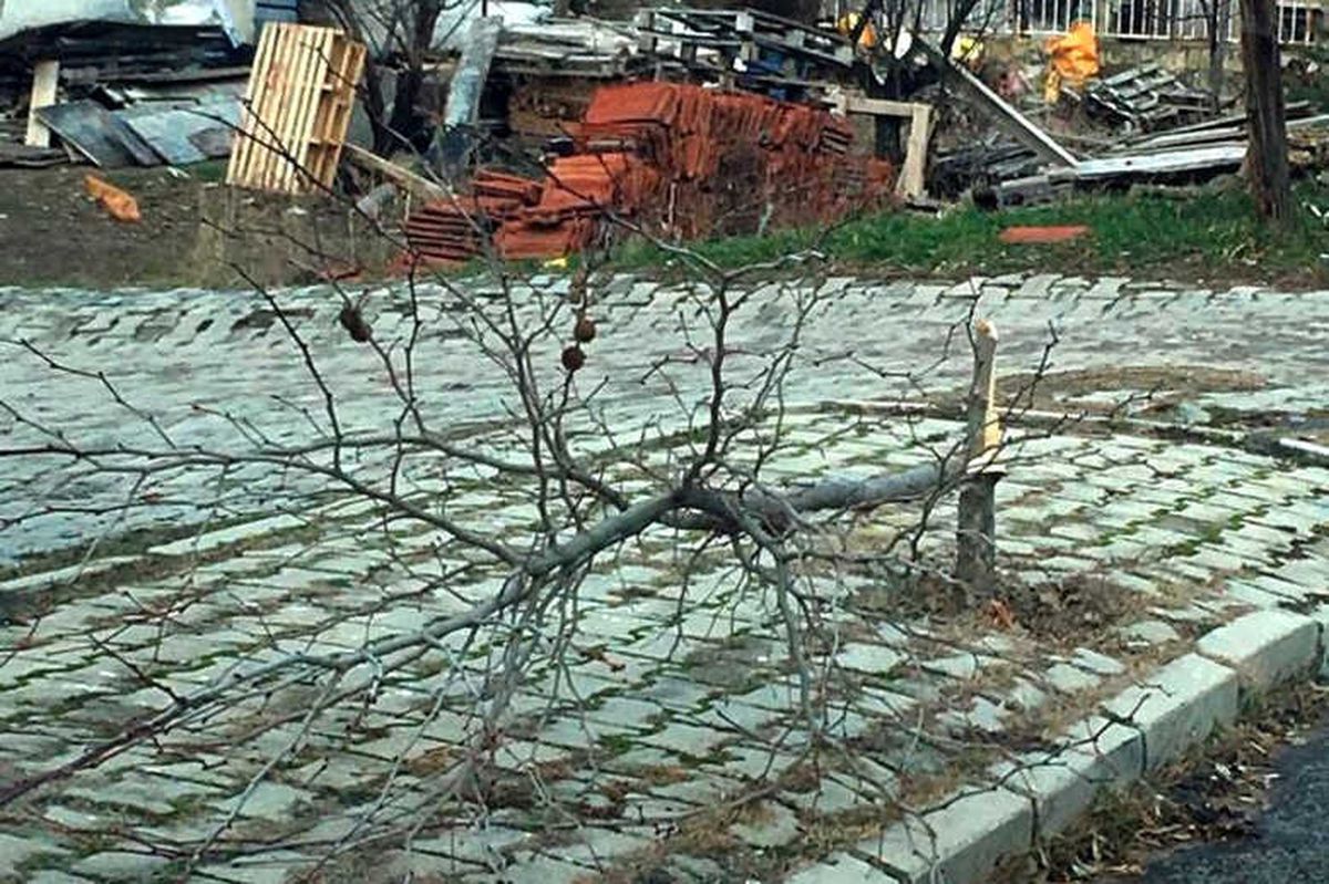 Isparta\'da Çok Sayıda Ağaç Kırıldı