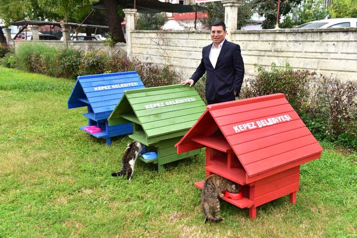 Kepez\'den Parklara Kedi Evi