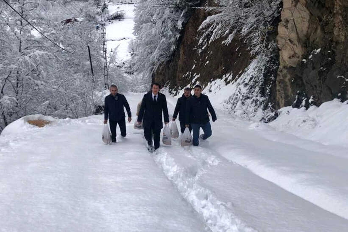 Kürtün\'de Yaban Hayvanları İçin Doğaya Yem Bırakıldı