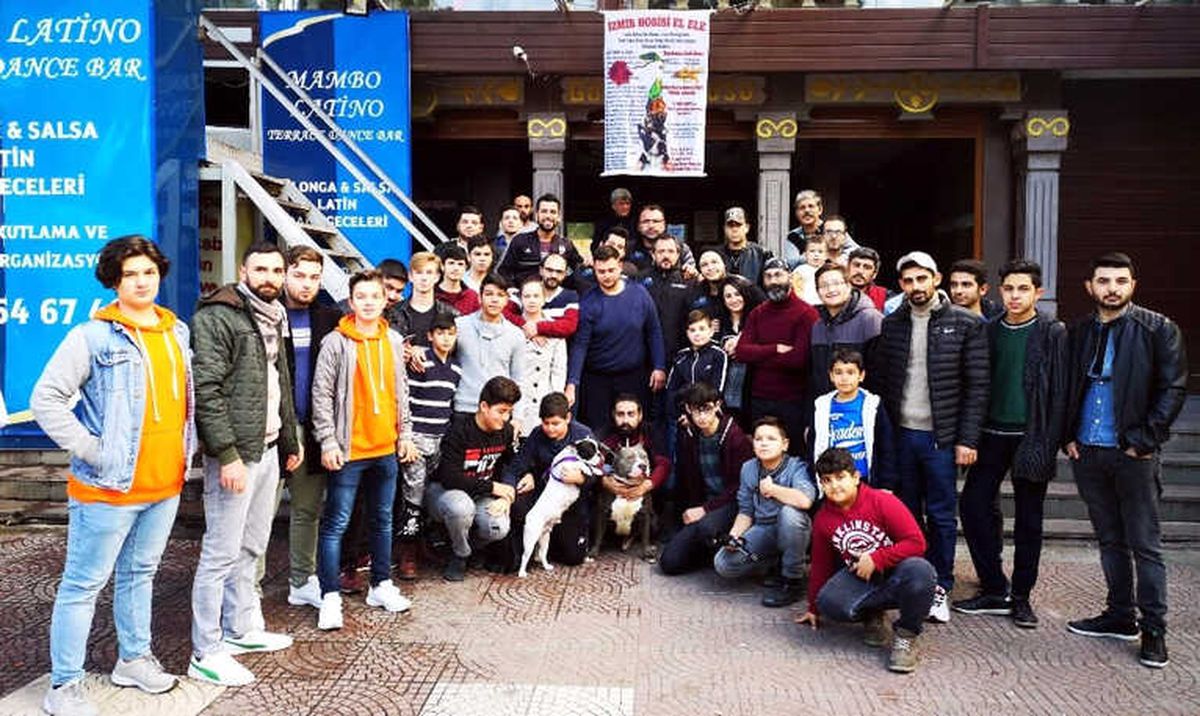 Pitbull İçin 6 Bin Liralık Cezaya Razılar