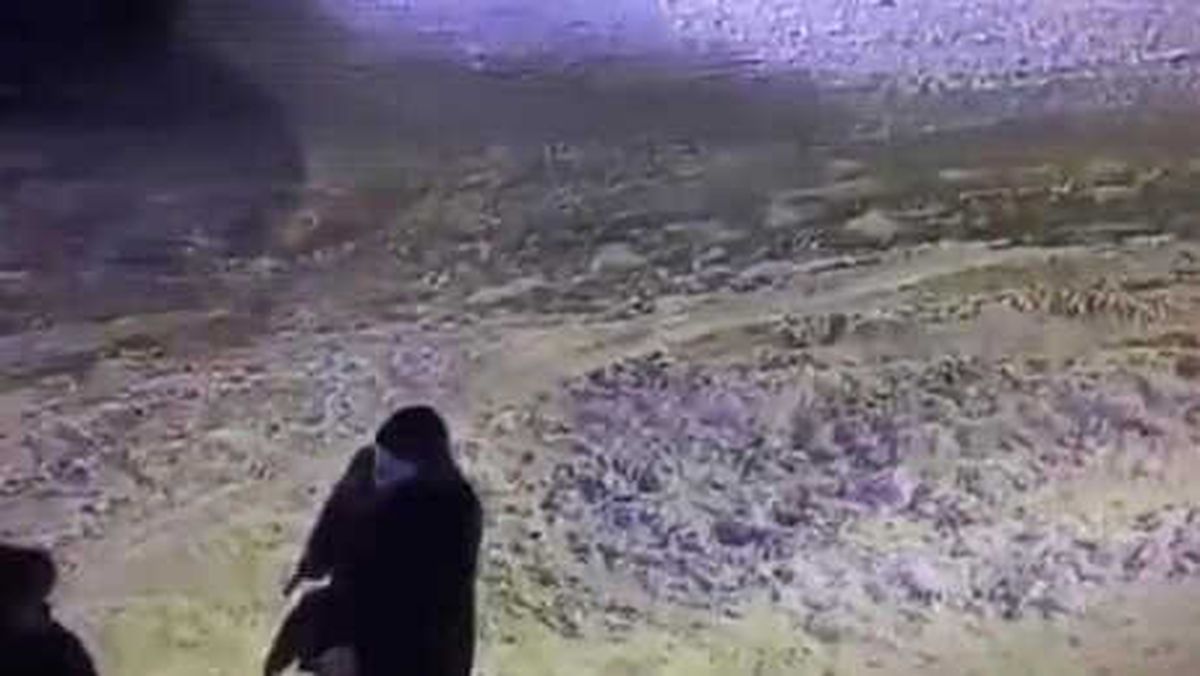 Saldırganın Elinden Silahı Almak İstedi, Başından Vuruldu