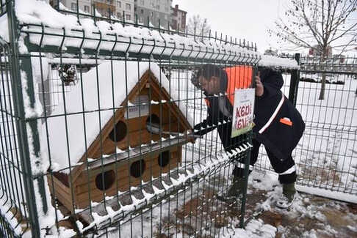 Selçuklu Belediyesi Sokak Hayvanları İçin Doğaya Yem Bıraktı