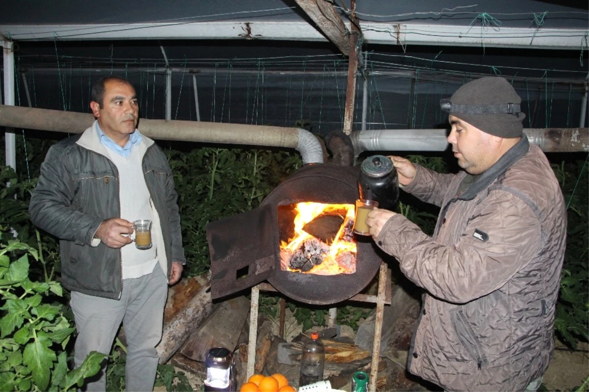 Soğuk Hava Antalya\'da Çiftçiye Gece Yarısı Seraya Odun Taşıttı