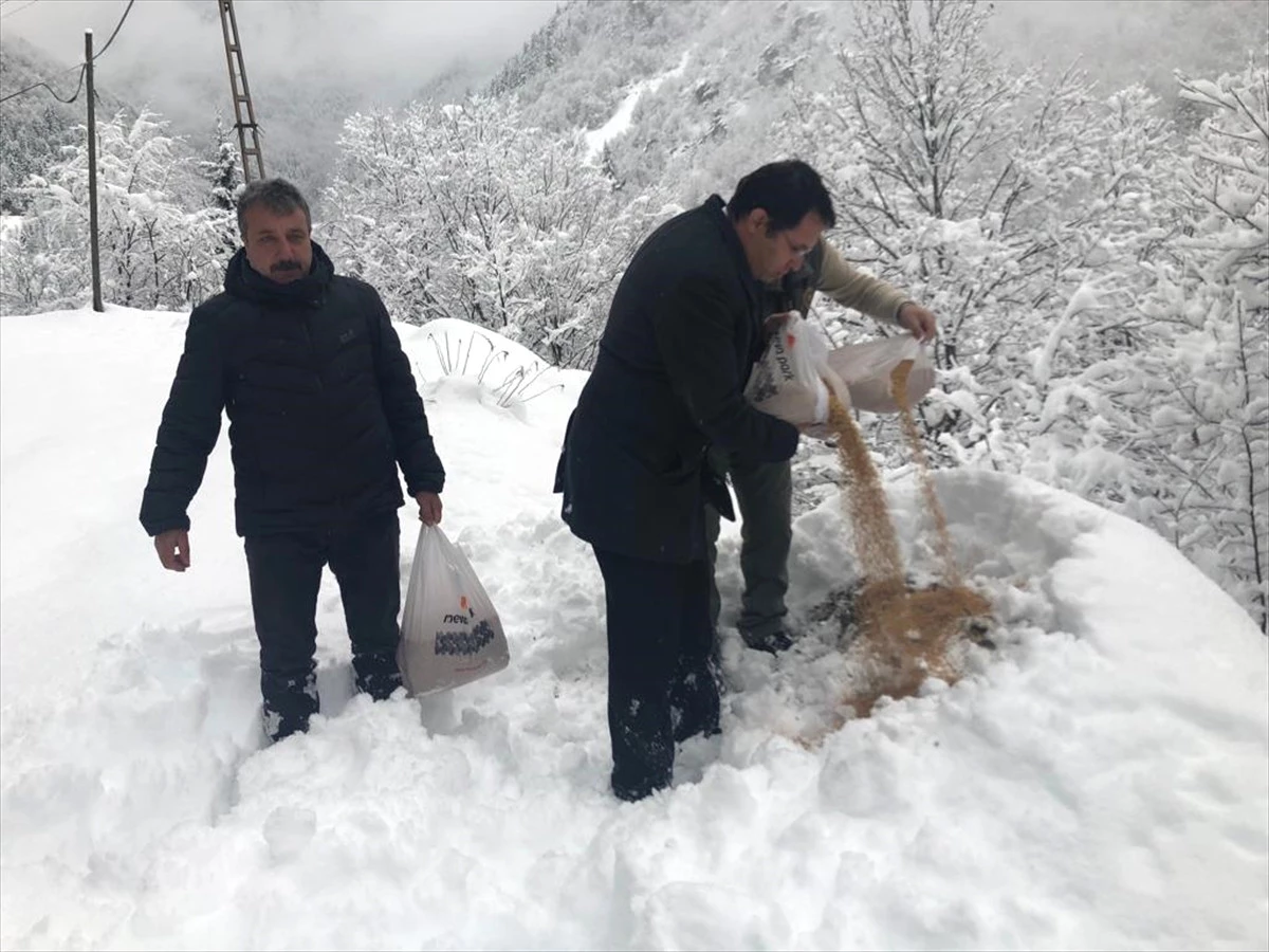 Yaban Hayatı İçin Doğaya Buğday Bıraktılar