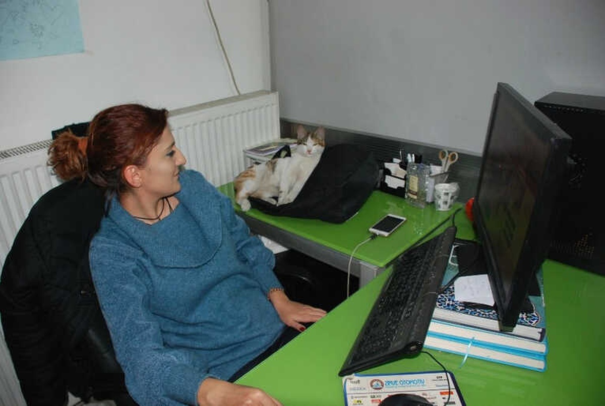 Anne ve Yavru Kedi Yerel Gazetenin Maskotu Haline Geldi