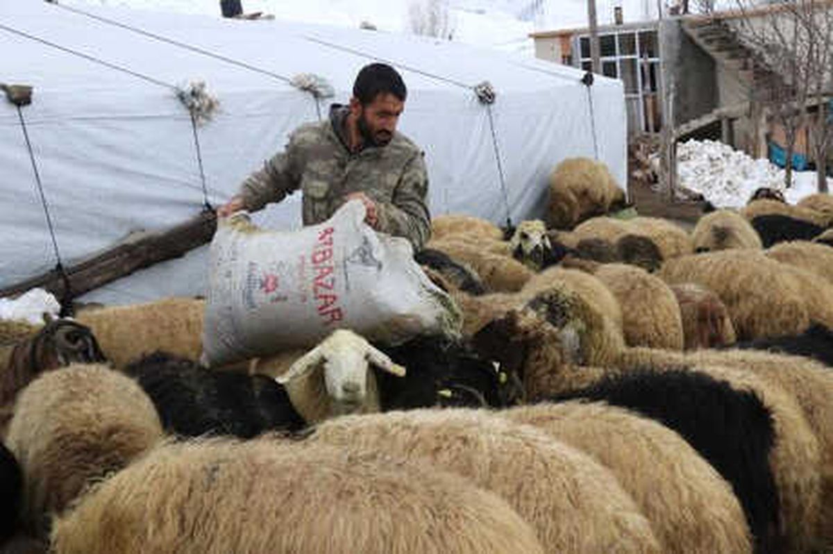 Bitlis\'te Besicilerin Zorlu Kış Mesaisi Başladı