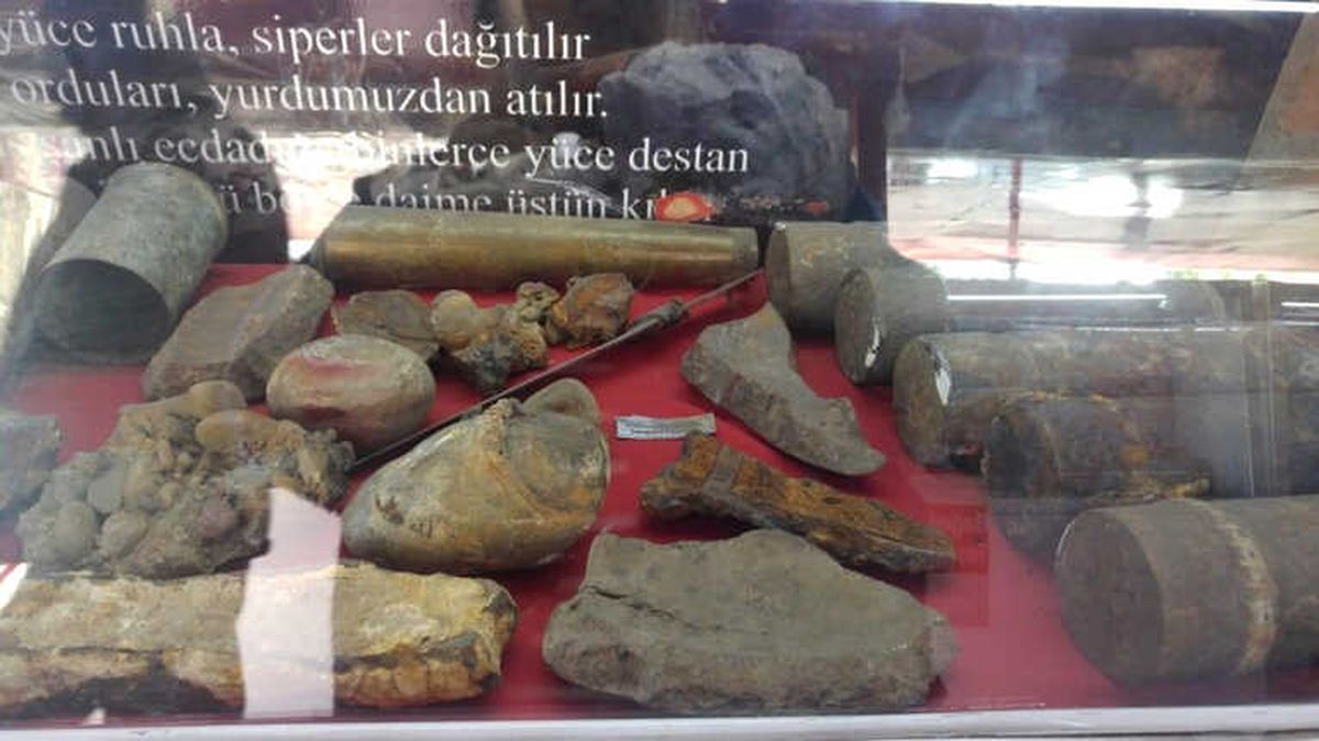 Çanakkale Tırı Fatsa\'da