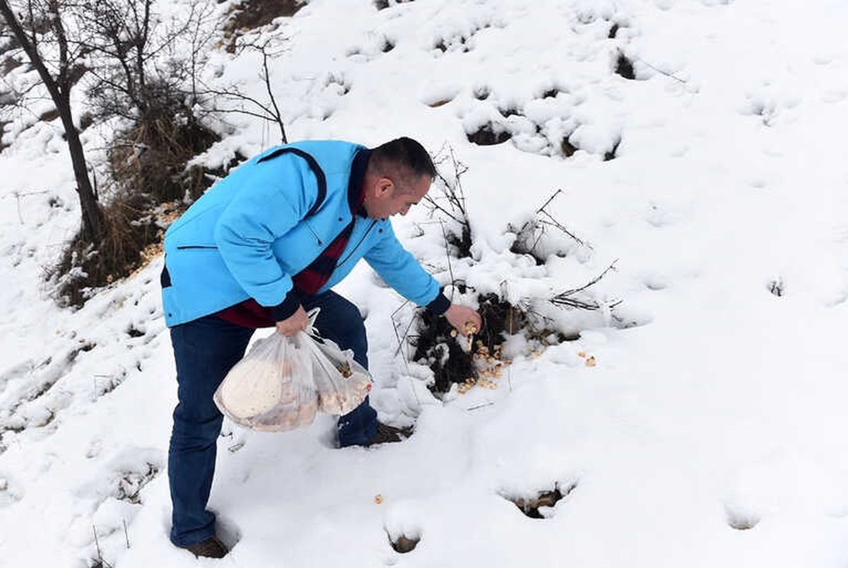 Çöpe Atılan Bayat Ekmekler Yaban Hayvanlarının Yiyeceği Oldu