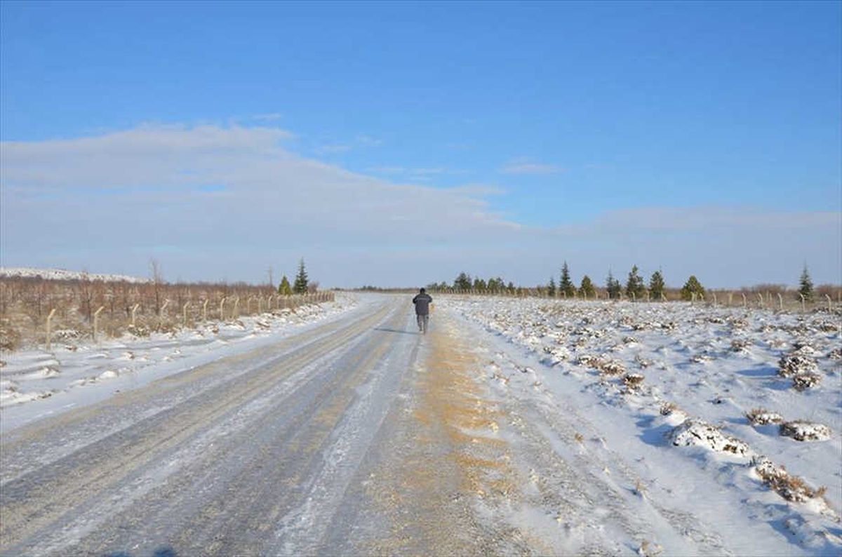 Doğaya Yem Bırakıldı